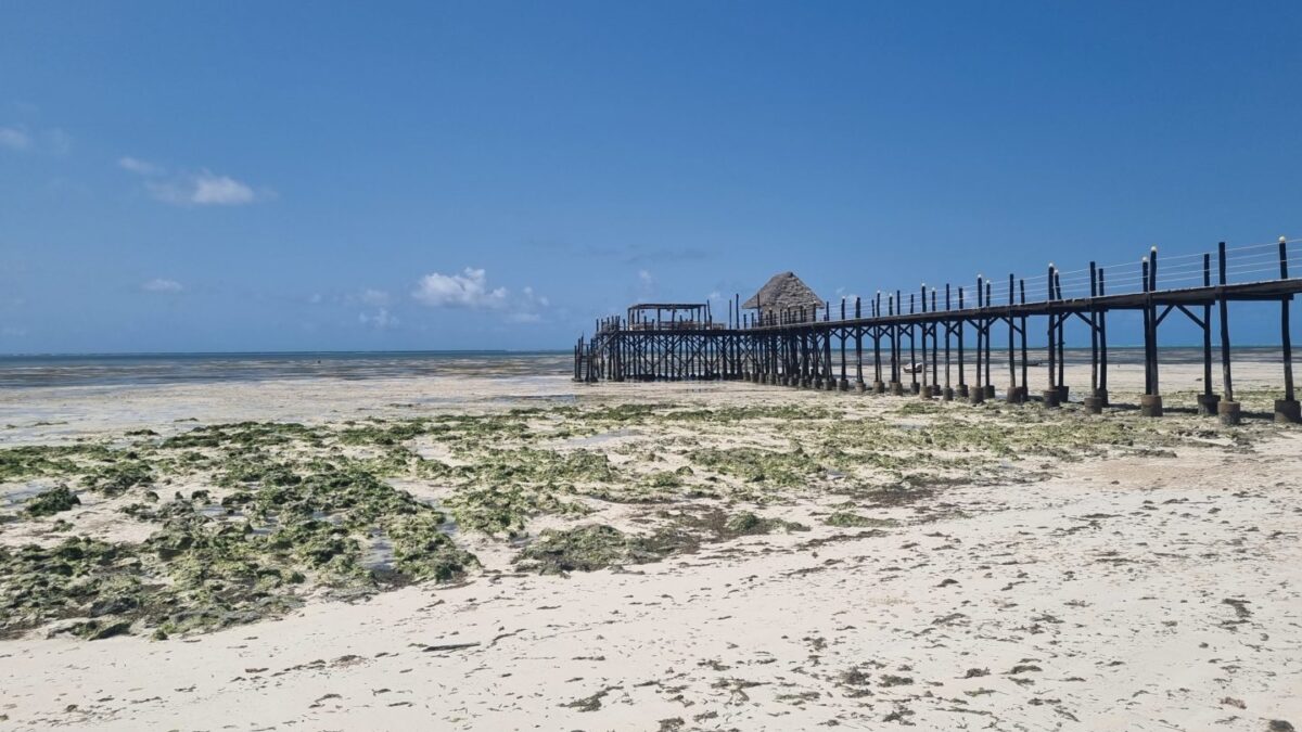Zanzibar North, Tanzania